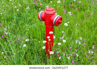 Vibrant Red Fire Hydrant Standing Amid Fresh Green Grass with Small White Wildflowers on a Bright Spring Day