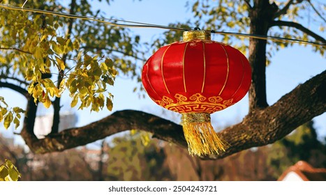 A vibrant red lantern with golden accents and tassels hangs elegantly from a wire amidst lush tree branches and sunlight, evoking a festive atmosphere. - Powered by Shutterstock