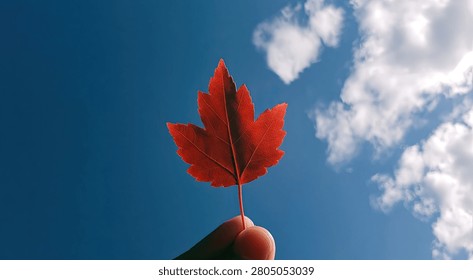 A vibrant red maple leaf is held up against a clear blue sky dotted with fluffy white clouds, symbolizing autumn and nature.