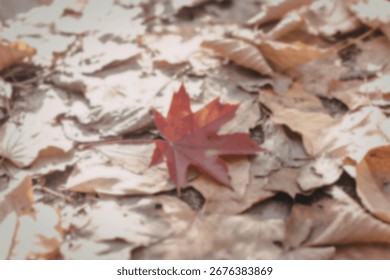 A vibrant red maple leaf rests on a bed of dried, brown autumn leaves. The contrast in color and texture creates a visually appealing image.