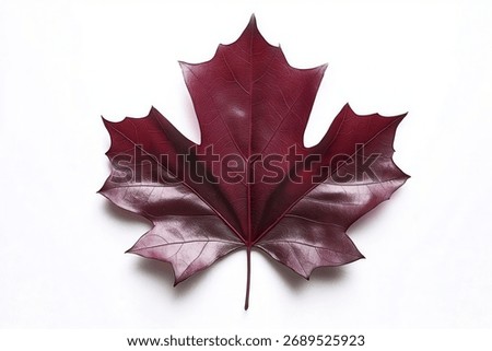 Vibrant red maple leaf showcasing intricate veins on a clean white background