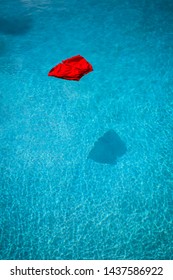A vibrant red pair of swimming shorts floating on a pool