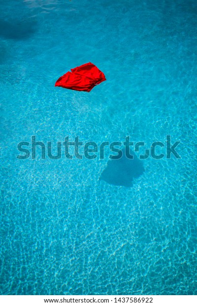 A\
vibrant red pair of swimming shorts floating on a\
pool