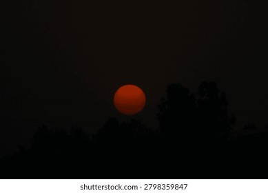 Vibrant red sun disk setting behind dark silhouetted tree canopies against a dim twilight sky during a peaceful evening atmosphere with minimalist composition and high contrast natural lighting