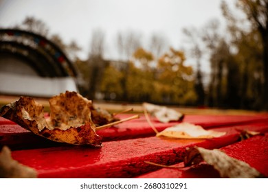 A vibrant red surface serves as a backdrop for a scattering of fallen autumn leaves.