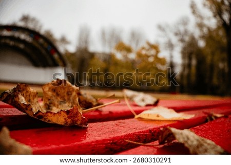 A vibrant red surface serves as a backdrop for a scattering of fallen autumn leaves.