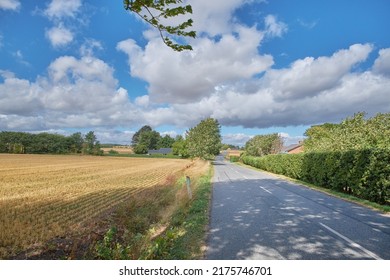 Vibrant rural landscape of a road through the countryside on a sunny day. Dry corn or wheat field after harvest in a small Danish village against a cloudy blue sky. Quiet farming town in summer
