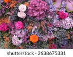 Vibrant scenes from 