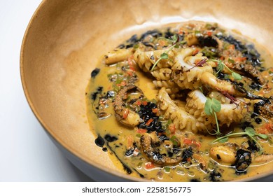 Vibrant Squid in a Rich and Flavorful Ink Sauce, Presentation in a Deep Dish on a Clean White Background - Shutterstock ID 2258156775