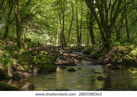 A vibrant stream flows over mossy rocks and fallen logs through a dense woodland environment known as Golitha Falls. Bodmin Moor, United Kingdom