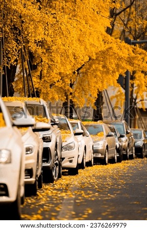 A vibrant street scene featuring a line of cars parked under golden trees.