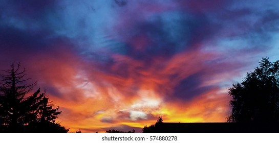 Vibrant Sunset