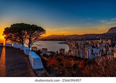 A vibrant sunset casts golden hues over a cityscape, with the sun partially hidden by a lone tree.  - Powered by Shutterstock