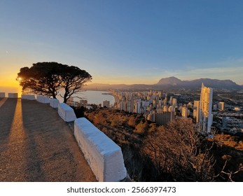 A vibrant sunset casts golden hues over a cityscape, with the sun partially hidden by a lone tree. - Powered by Shutterstock