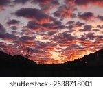 A vibrant sunset with dark clouds tinged in shades of orange and pink, filling the sky above silhouetted rooftops and leafless trees.