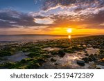 A vibrant sunset over a tranquil beach, with rays of the sun casting a golden hue across the sky. The beach is covered in green algae and smooth stones, reflecting the sunlight. The serene water stret