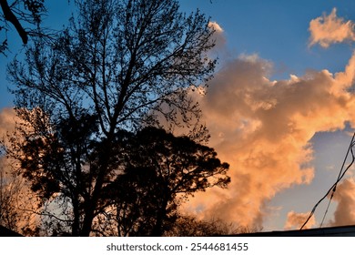 Vibrant Sunset Sky with Golden Clouds and Silhouetted Tree Branches - Powered by Shutterstock