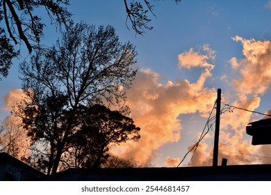 Vibrant Sunset Sky with Golden Clouds and Silhouetted Tree Branches - Powered by Shutterstock