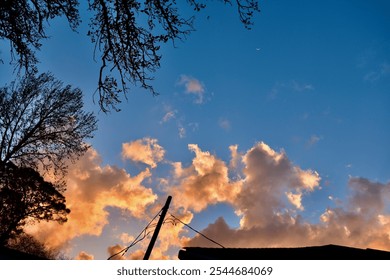 Vibrant Sunset Sky with Golden Clouds and Silhouetted Tree Branches - Powered by Shutterstock