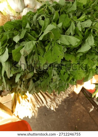 A vibrant, tight close-up of a large bundle of fresh leafy green vegetables, likely Amaranth or Spinach