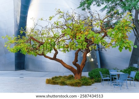 Vibrant tree showcasing greenery in the Blue Ribbon Garden, with the sleek architecture of the Walt Disney Concert Hall in the background.