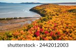 Vibrant trees and landscape on East Coast of Atlantic Ocean. Quebec, Canada.