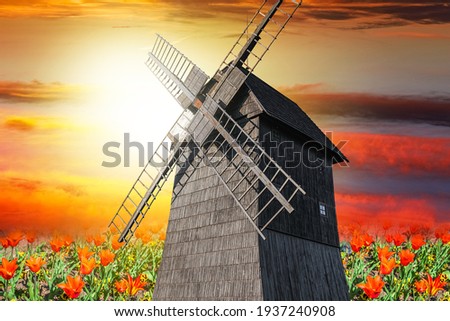 Similar – Windmühle hinter gelben Rapsblüten III