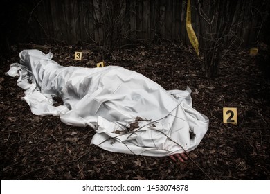 Victim of a violent crime under a sheet in a rural yard. With evidence markers.