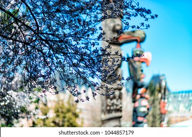 Victoria, BC, Canada - 11 March 2018
Springtime in Thunderbird totem poles park. Totem poles made by  indigenous Canadians. 