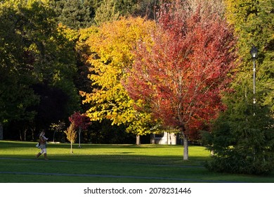 VICTORIA, CANADA - Oct 09, 2021: A Beautiful View Of Hatley Castle At Roya Road University, Victoria, Vancouver Island, BC Canada