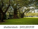 Victoria Park in Fort Lauderdale, Florida, USA