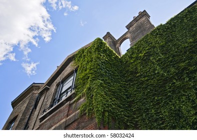 victorian building facade covered with green ivy - Powered by Shutterstock