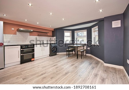 Victorian Conversion Basement Flat Simple Contemporary Kitchen Decor London UK