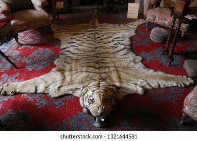 Victorian Tiger Fur Rug On The Floor Of A Drawing Room In An English Stately Home. A Victorian Tiger Rug Spread Out On The Floor Of A Drawing Room In An English Stately Home.