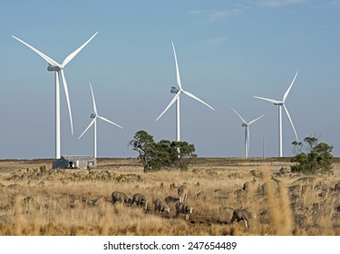 Victorian  wind farm  near Hamilton.