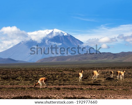 Similar – Image, Stock Photo Misty volcanic highlands of Iceland