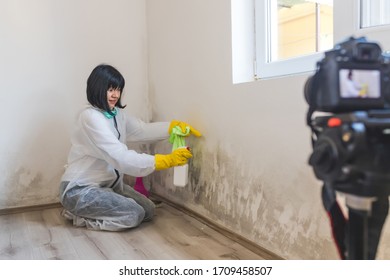 Video Camera Filming How Woman Cleaning Mold From Wall Using Spray Bottle With Mold Remediation Chemicals, Mold Removal Products