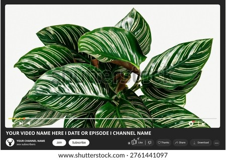 Video player interface featuring a lush green plant with white-striped leaves. Includes customizable text fields for video name, date, and channel details.