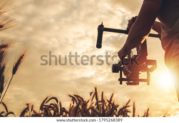 Videography and\
Cinema Industry Theme. Scenic Sunset Cinema Shot Using Digital SLR\
Camera and Gimbal Stabilizator. Operator Walking with Professional\
Equipment Between Rye\
Field.