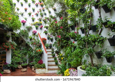 The Alcázar Viejo Patios In The Old Town Of Córdoba, Spain. Houses Throughout The City Open Up Their Doors To Show Off Their Patios (courtyards). Courtyards Are Full Of Flowers