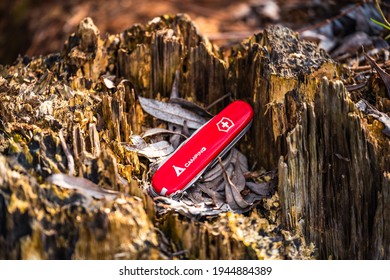 Vienna, Austria - 22 March 2021 : Close up of Victorinox Swiss Army red folding knife.