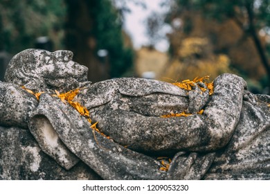 Vienna Central Cemetery