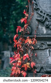 Vienna Central Cemetery