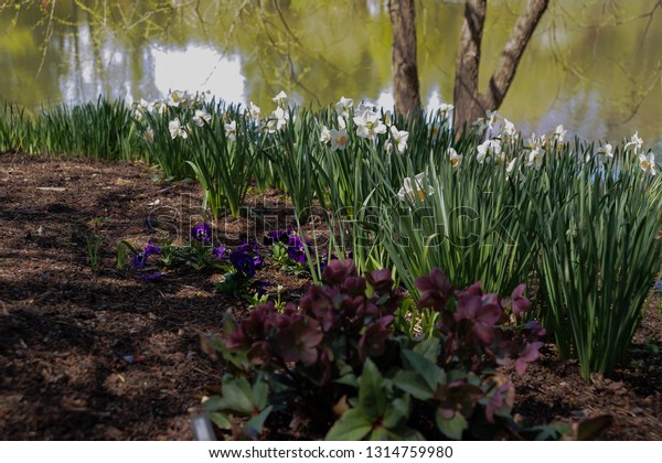 Vienna Virginia Usa April 17 2016 Royalty Free Stock Image