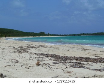 Vieques / Puerto Rico - 2014: A Deserted Beach With Blue Waters On The Lush Island Of Vieques