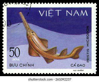 VIETNAM - CIRCA 1980: A Stamp Printed In Vietnam, Shows Pristis Microdon, Circa 1980