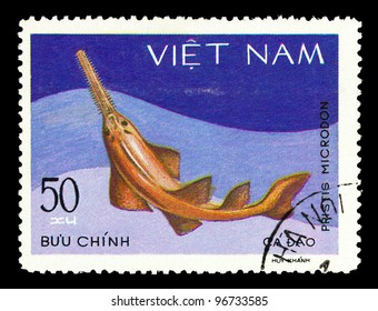 VIETNAM - CIRCA 1980: A Stamp Printed In VIETNAM Shows A Pristis Microdon, Series , Circa 1980