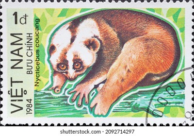 Vietnam - Circa 1984: A Post Stamp Printed In Vietnam Showing A Bengal Slow Loris (Nycticebus Coucang)
