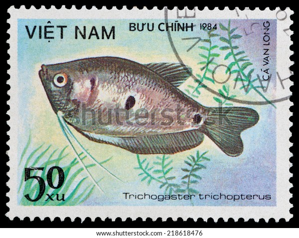 Vietnam Circa 1984 Stamp Printed Vietnam Stock Photo 218618476 ...