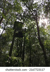 Vietnam Forest Treehouse Bottom View